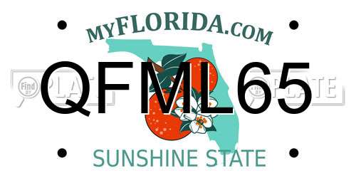 QFML65 Florida License Plate