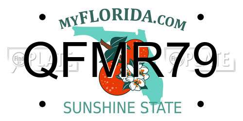 QFMR79 Florida License Plate