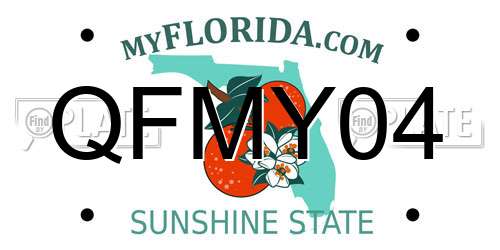 QFMY04 Florida License Plate