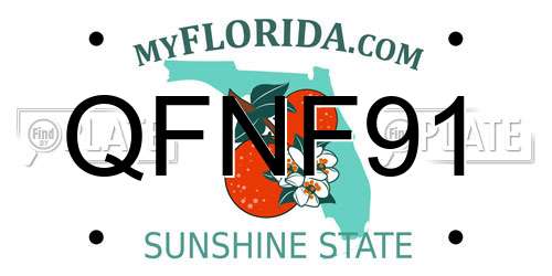 QFNF91 Florida License Plate