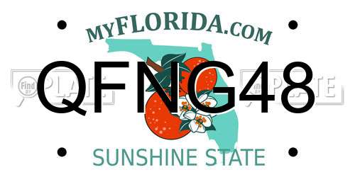 QFNG48 Florida License Plate