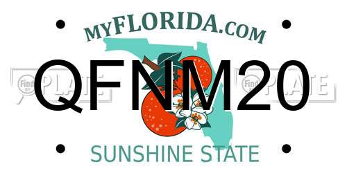 QFNM20 Florida License Plate