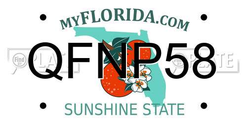 QFNP58 Florida License Plate