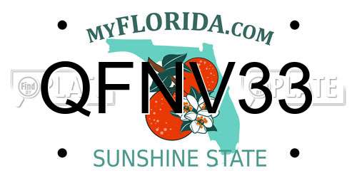 QFNV33 Florida License Plate