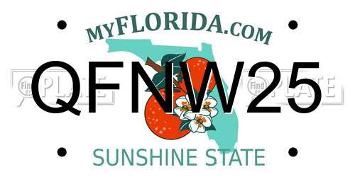 QFNW25 Florida License Plate