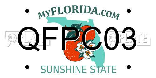 QFPC03 Florida License Plate