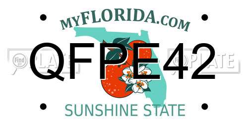 QFPE42 Florida License Plate