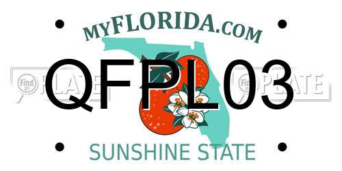 QFPL03 Florida License Plate