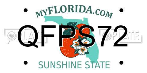QFPS72 Florida License Plate