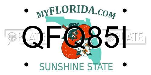 QFQ85I Florida License Plate