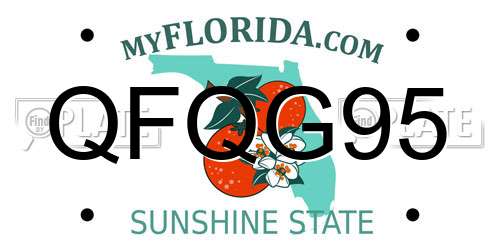 QFQG95 Florida License Plate