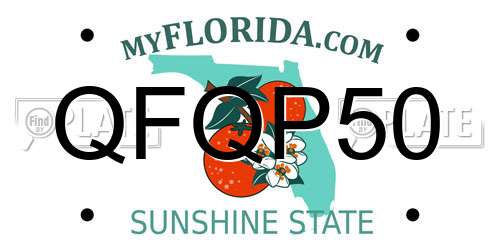 QFQP50 Florida License Plate