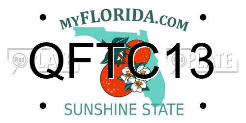 QFTC13 Florida License Plate