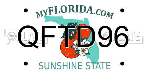 QFTD96 Florida License Plate