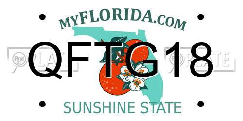 QFTG18 Florida License Plate