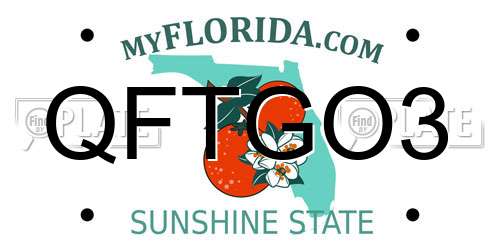 QFTGO3 Florida License Plate