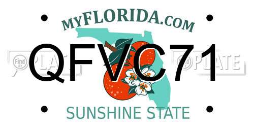 QFVC71 Florida License Plate