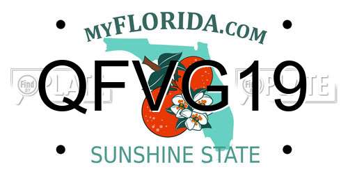 QFVG19 Florida License Plate