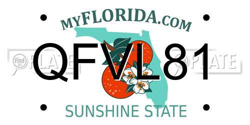 QFVL81 Florida License Plate