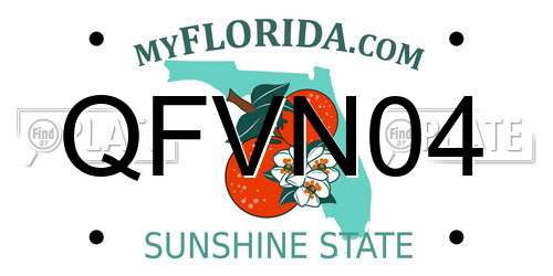 QFVN04 Florida License Plate