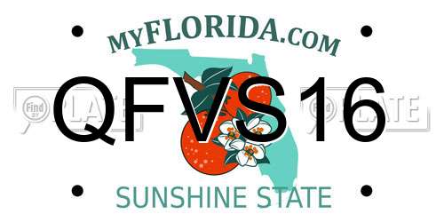 QFVS16 Florida License Plate