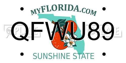 QFWU89 Florida License Plate