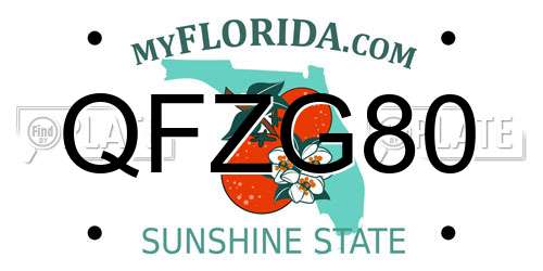 QFZG80 Florida License Plate