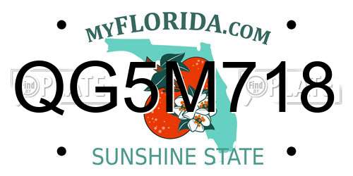 QG5M718 Florida License Plate