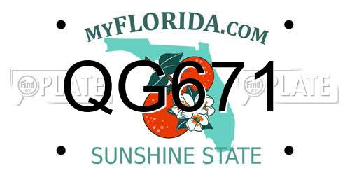 QG671 Florida License Plate