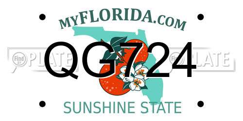 QG724 Florida License Plate