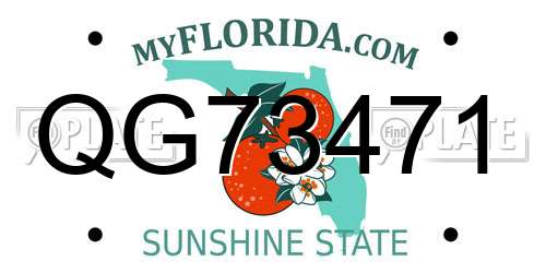 QG73471 Florida License Plate