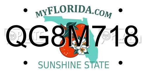 QG8M718 Florida License Plate