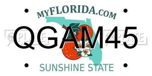 QGAM45 Florida License Plate
