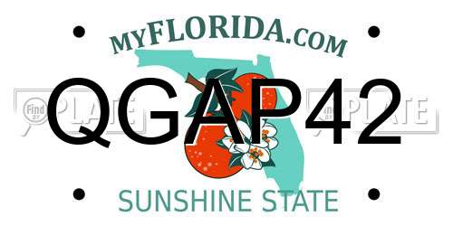 QGAP42 Florida License Plate