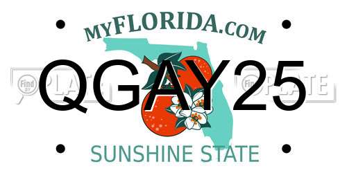 QGAY25 Florida License Plate