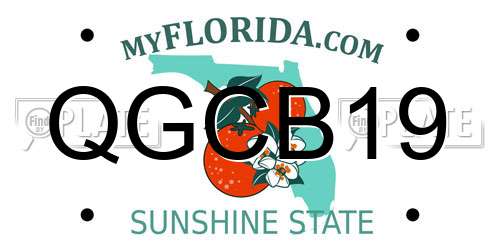 QGCB19 Florida License Plate
