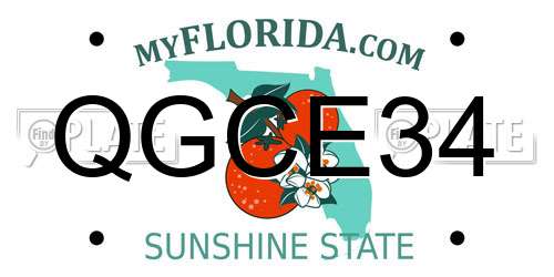 QGCE34 Florida License Plate