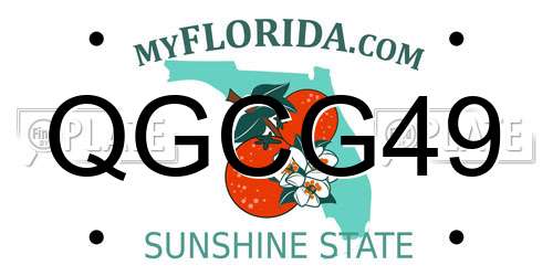QGCG49 Florida License Plate