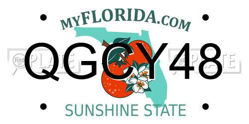 QGCY48 Florida License Plate