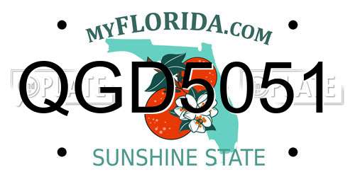 QGD5051 Florida License Plate