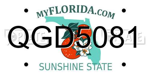 QGD5081 Florida License Plate