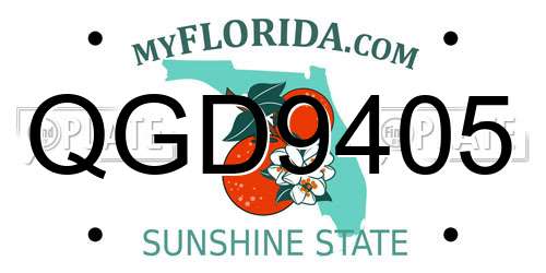 QGD9405 Florida License Plate