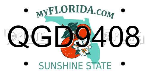 QGD9408 Florida License Plate