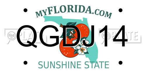 QGDJ14 Florida License Plate