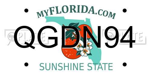 QGDN94 Florida License Plate