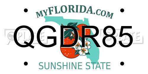 QGDR85 Florida License Plate