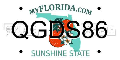 QGDS86 Florida License Plate