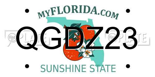 QGDZ23 Florida License Plate
