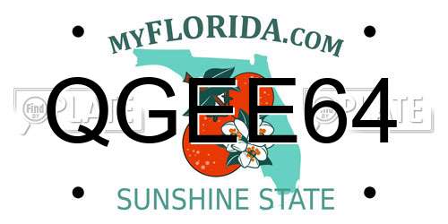 QGEE64 Florida License Plate