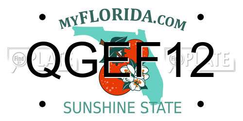 QGEF12 Florida License Plate